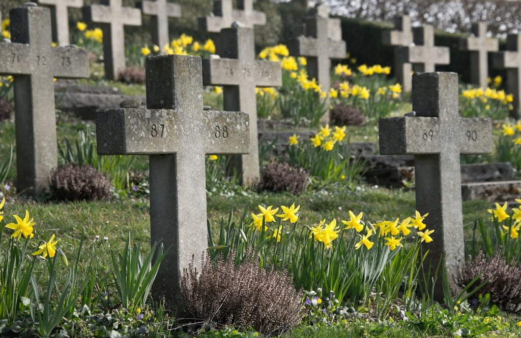 Graveyard with crosses and daffodils