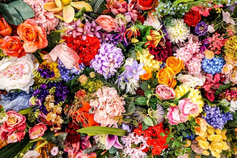 What Flower Represents Death Flowers Their Meanings   Colors Of Flowers Shutterstock 1712017372 768x512 