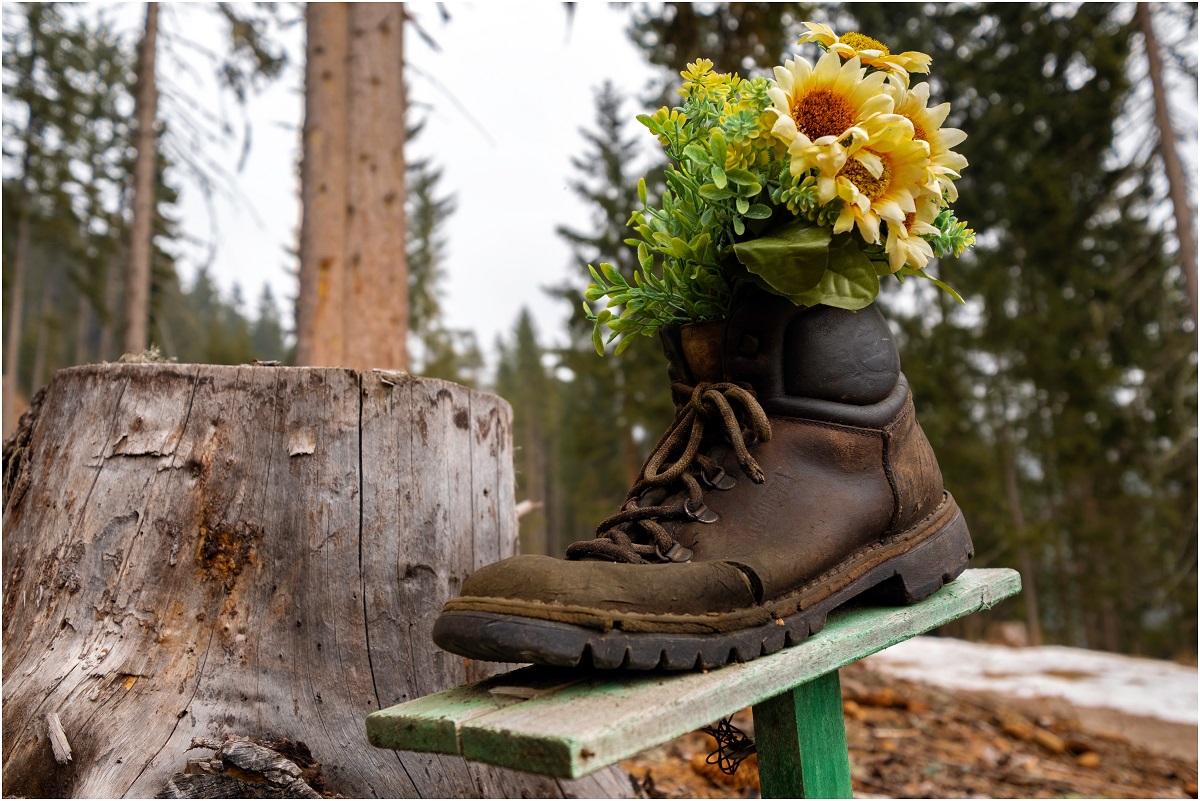 Flowers in boot