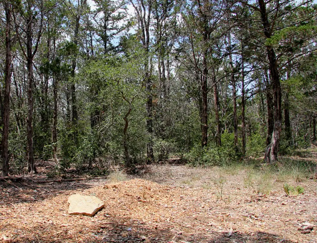 Green burial site