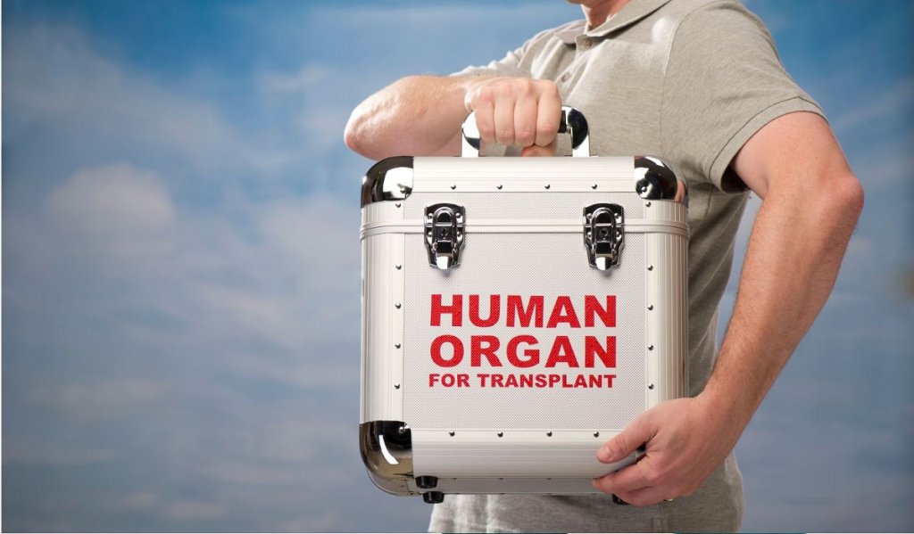 Organ donation of live organs