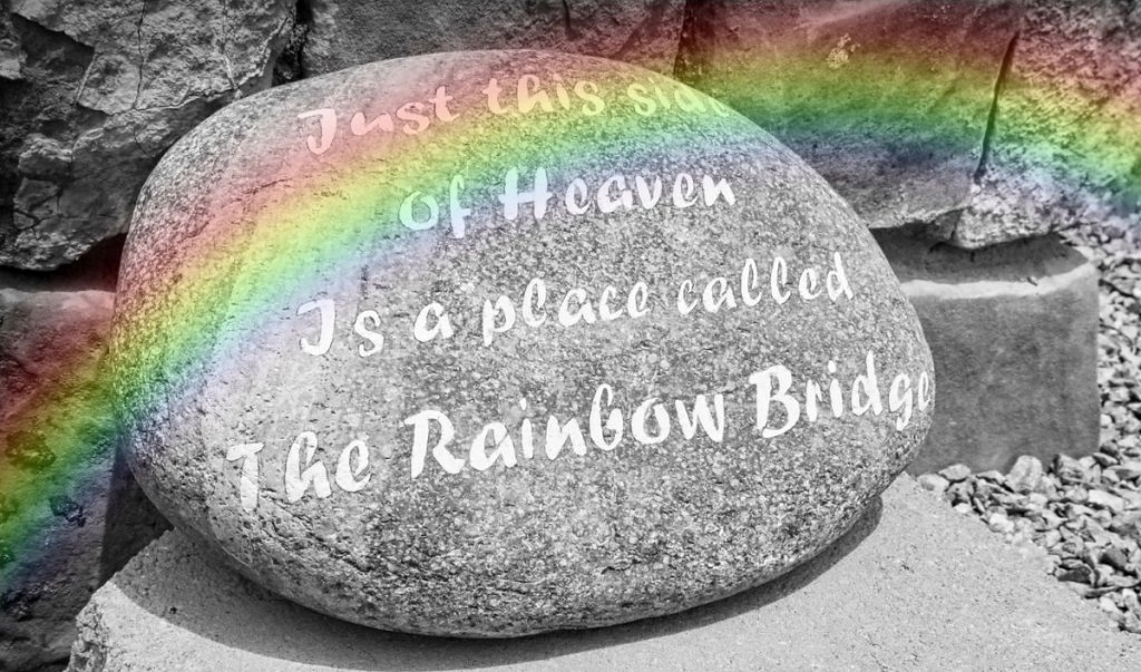 rainbow bridge memorial
