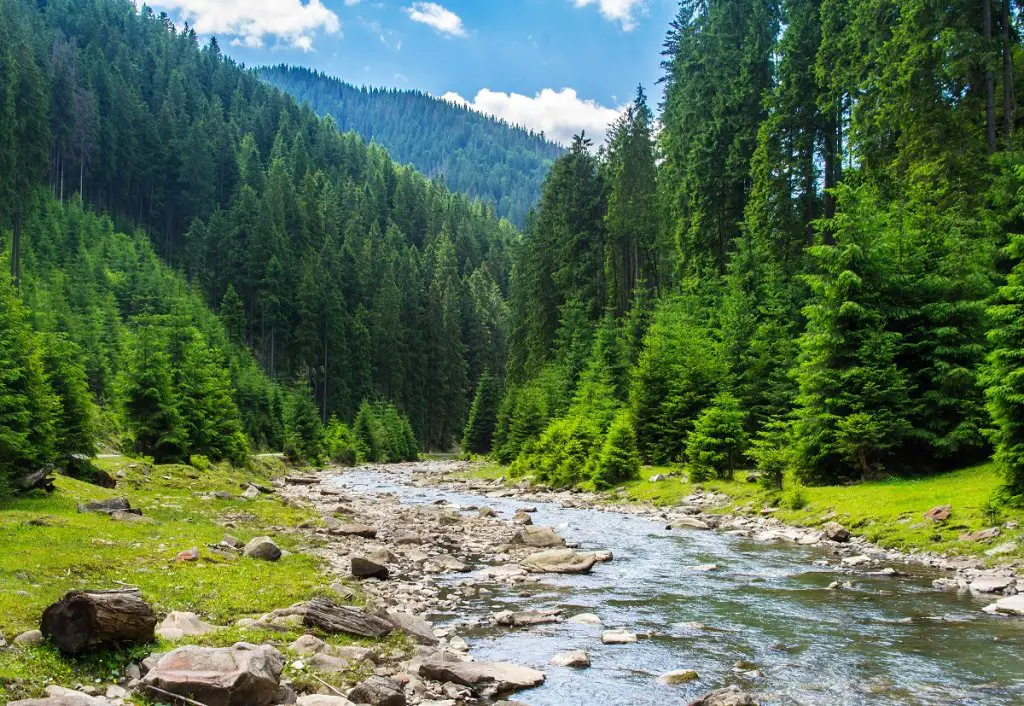 Relax by the river