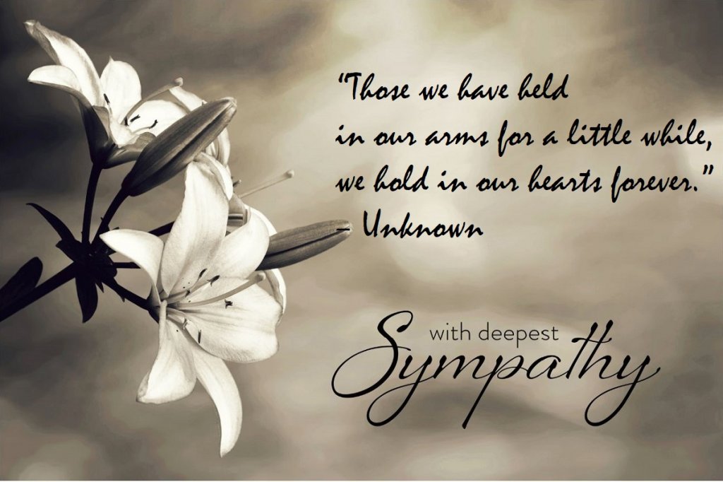 Timely quote for sympathy
