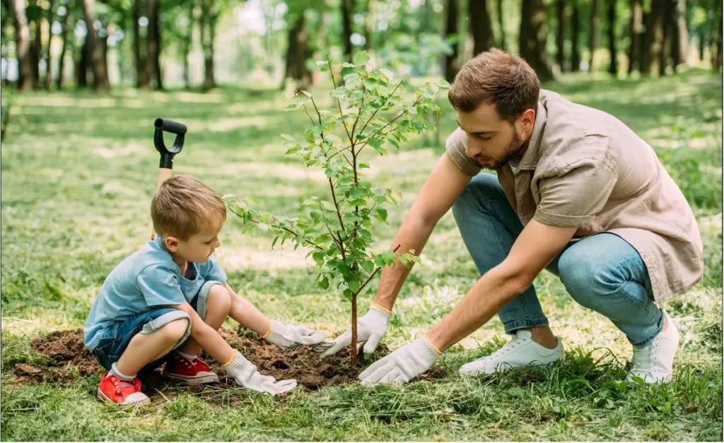 plant a memorial tree