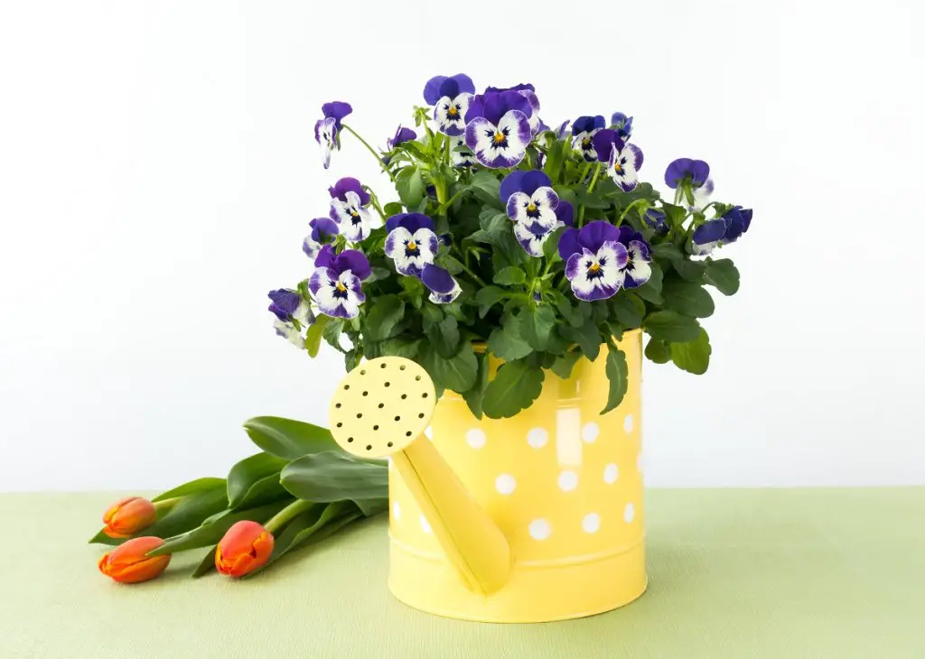 Unusual Funeral Flowers: Unique Funeral Flower Arrangement Ideas