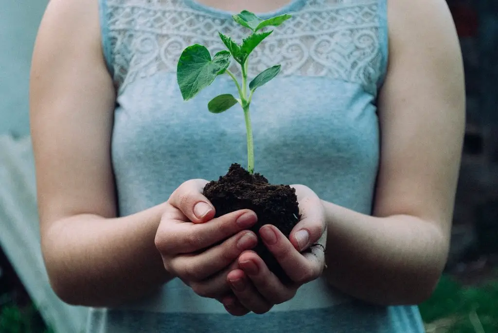 mementoes for an environmentalist