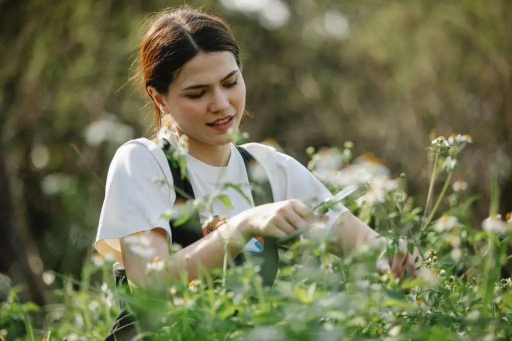 offer extra help as alternative funeral gift