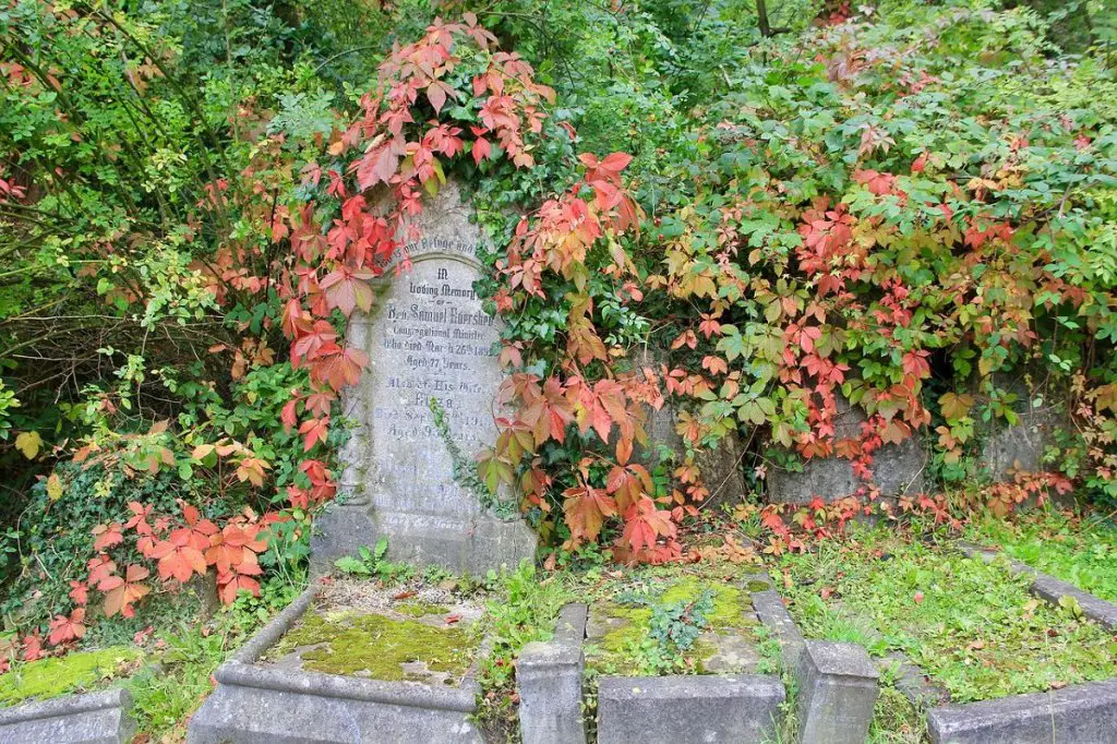 In loving memory on headstone