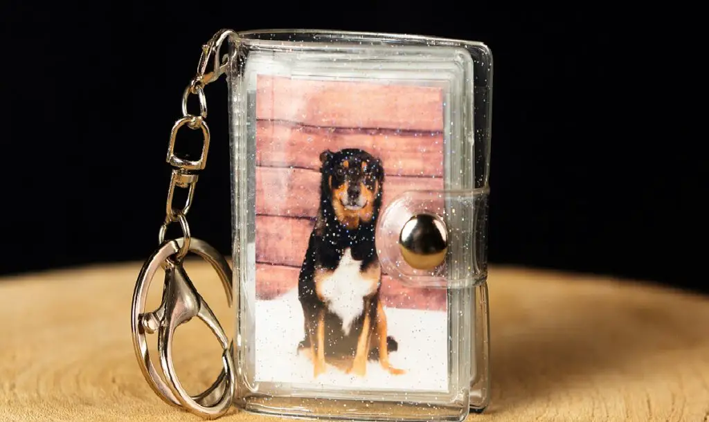 Pet keychain