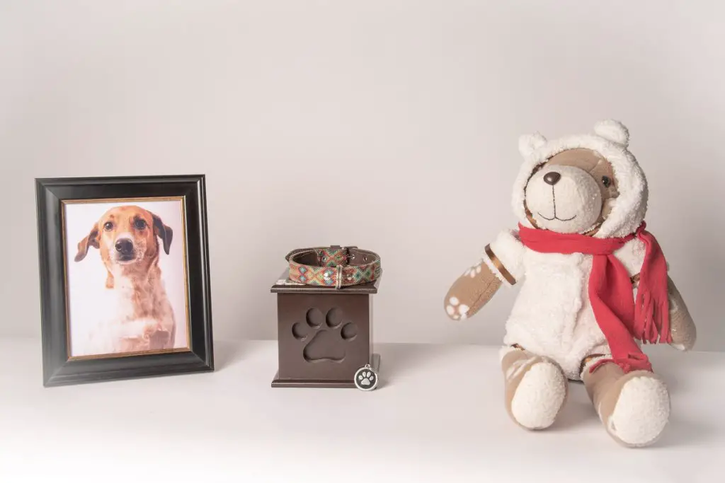 Memorial gifts for pet loss