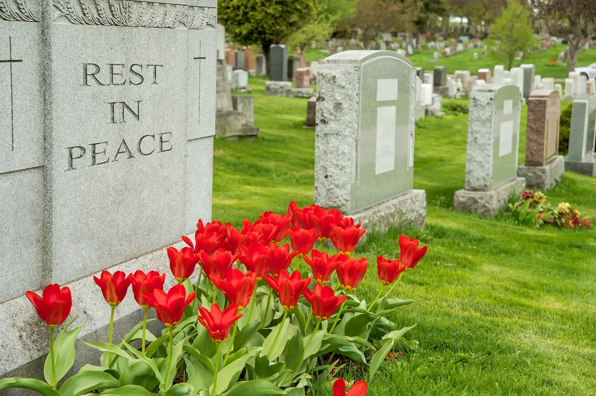 75+ Rest In Peace Quotes & Messages To Share