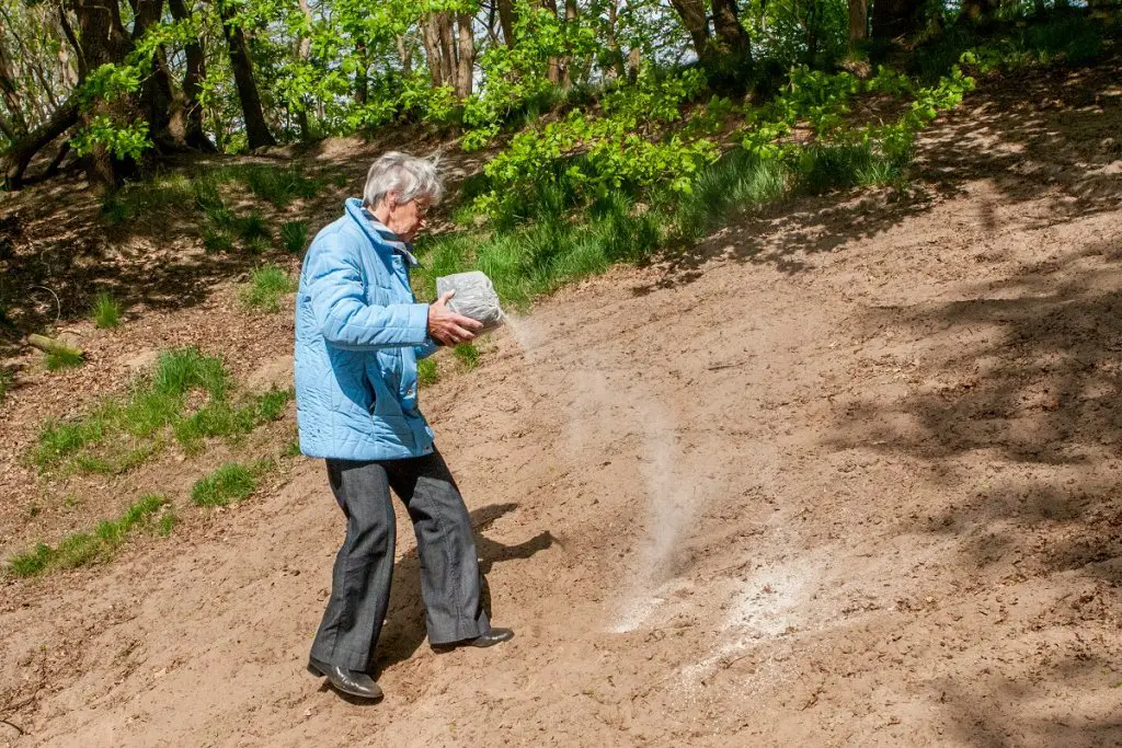 Scattering ashes in a favorite plae