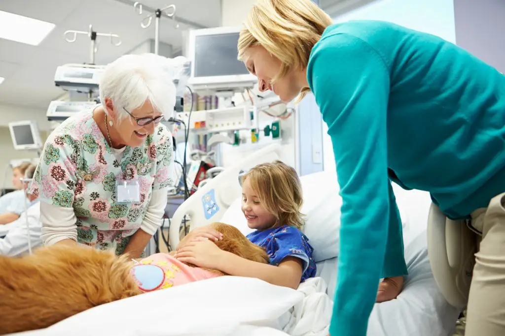 Senior volunteering with therapy dogs