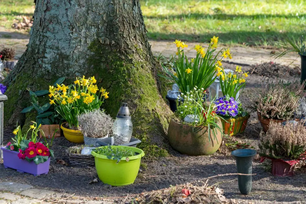 Urn garden around tree