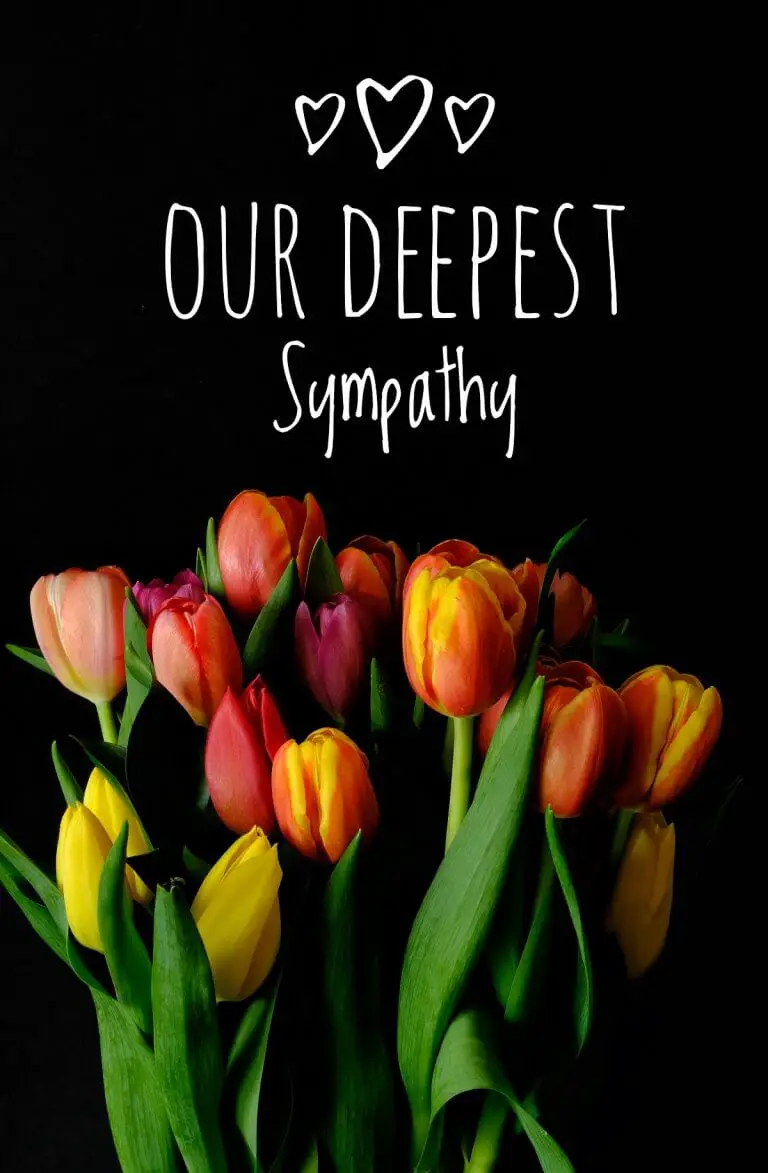 Sympathy messages what to write in a sympathy card